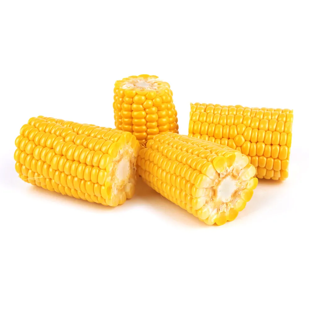 
High quality organic corn grain, agriculture product 