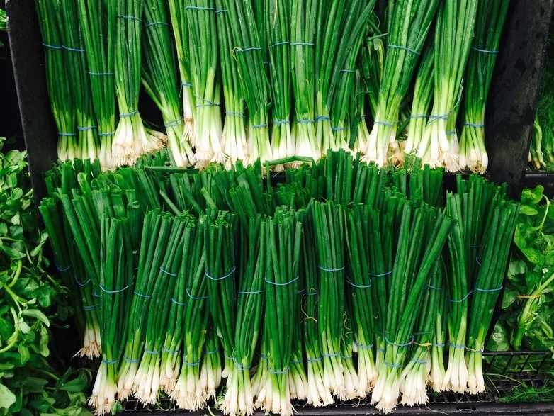 scallion (2).jpg