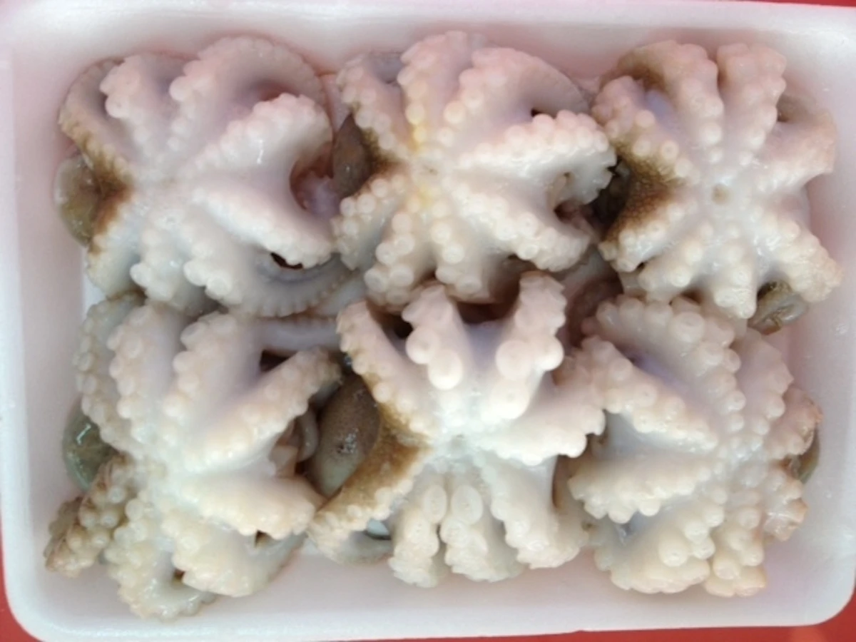 Good quality cheap price IQF Frozen baby octopus for sale
