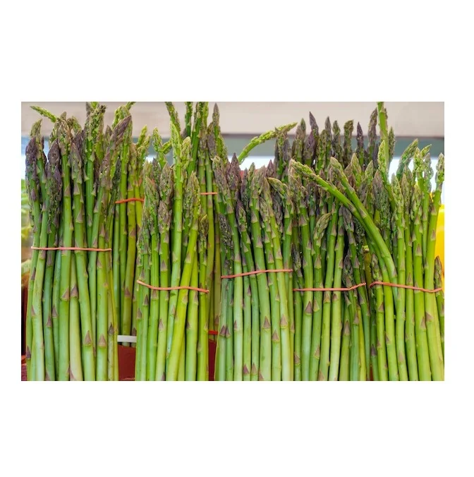 Wholesale Dealer Of Cheapest Price Fresh Vegetable Asparagus