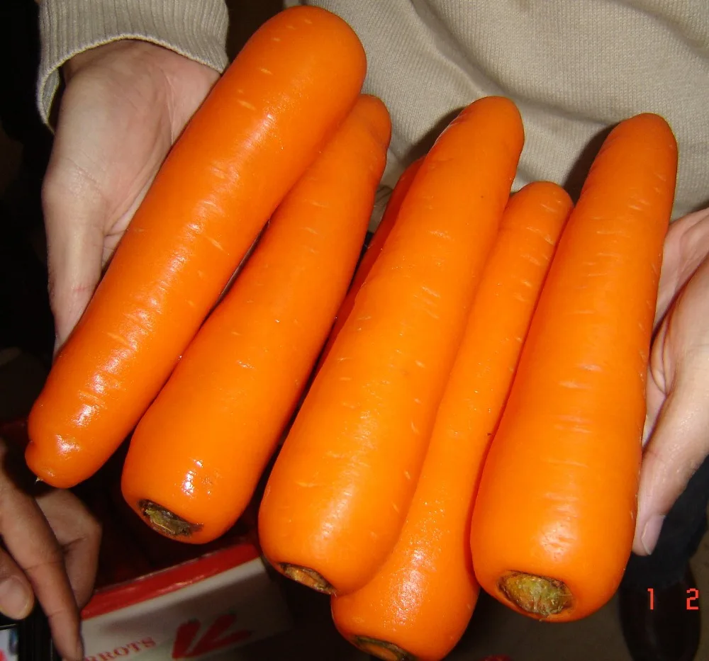 2021 High Quality Fresh Vegetable Fresh Carrot