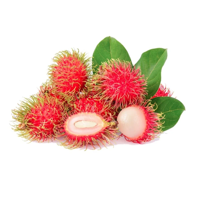 Best seller Fresh Rambutan Premium grade from Thailand by SP Organic International