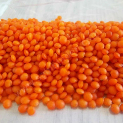 
red lentil for Australia 