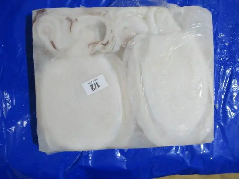 Top quality Cuttlefish cleaned block frozen from India