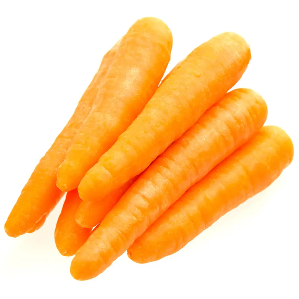 FRESH CARROTS FOR SALE / BEST PRICES AND BEST QUALITY