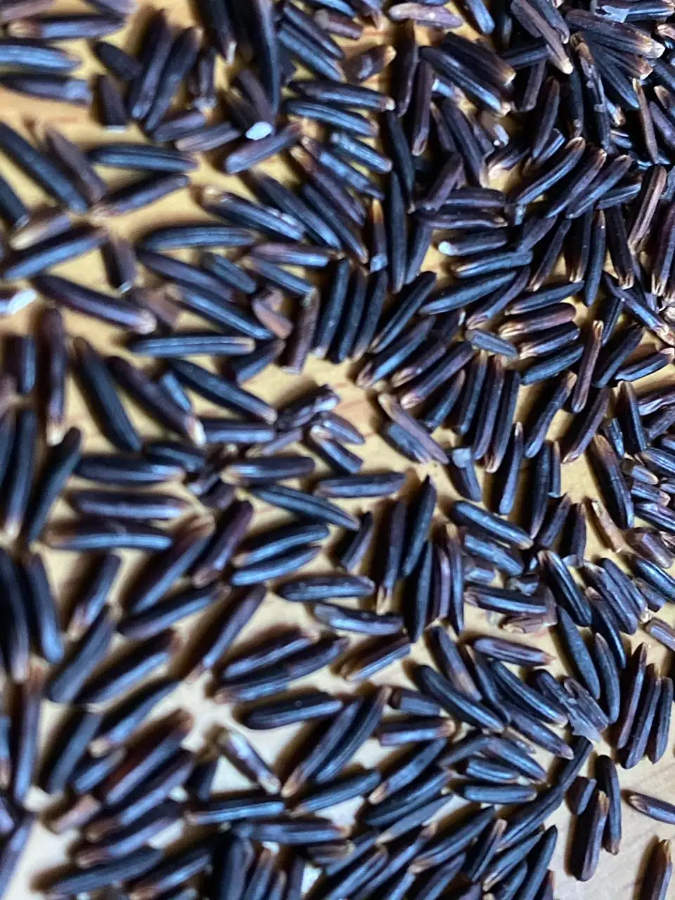 
Black Rice Vietnamese Rice Export Wholesale Rice - Whatsapp 0084 923 158 607 
