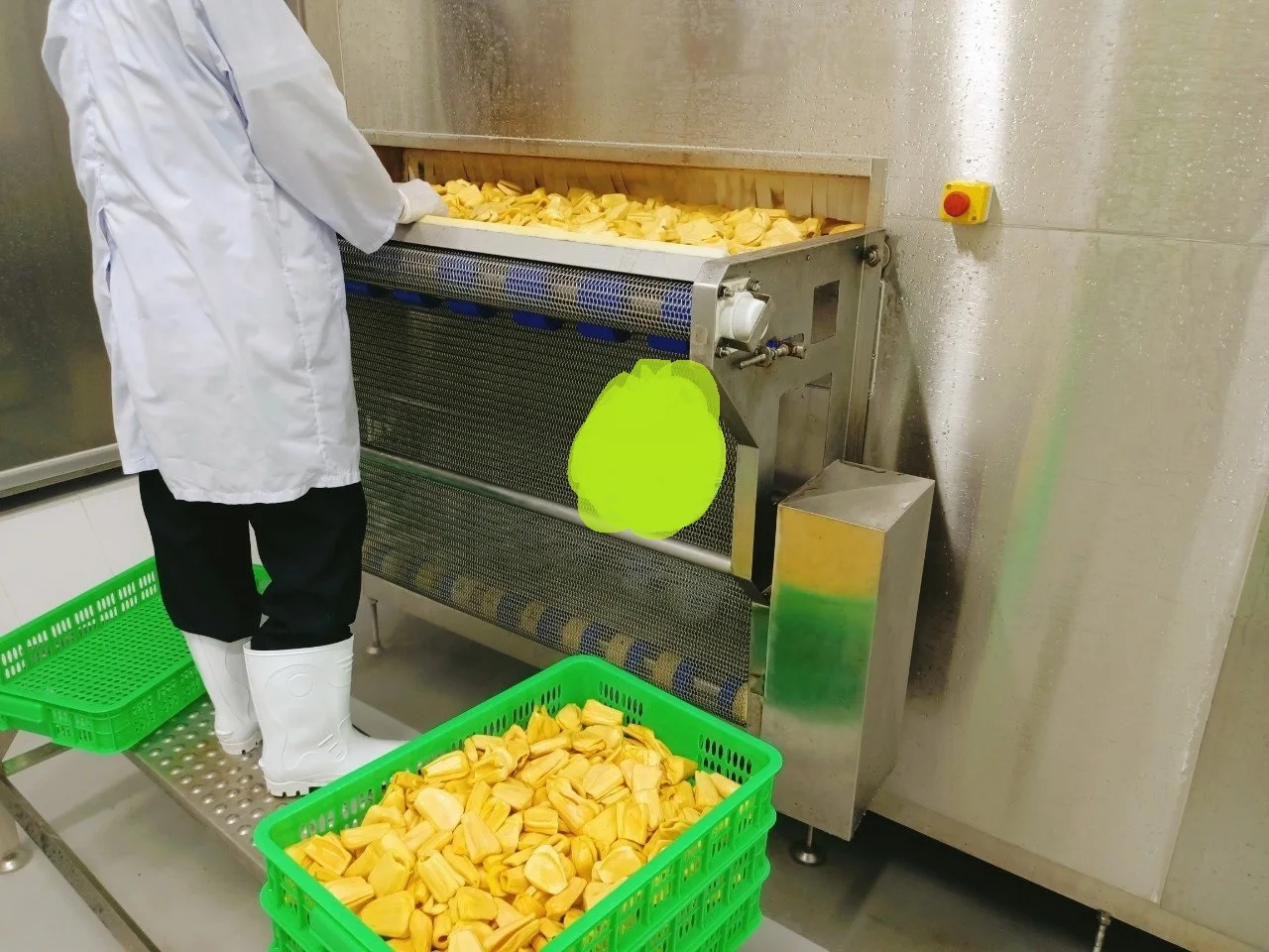  Замороженный дуриан/замороженный домкрат GAP IQF без налога высокое качество в продаже богатые питательные Натуральные Сладкие фрукты Корее Европе Японии Великобритании Канаде