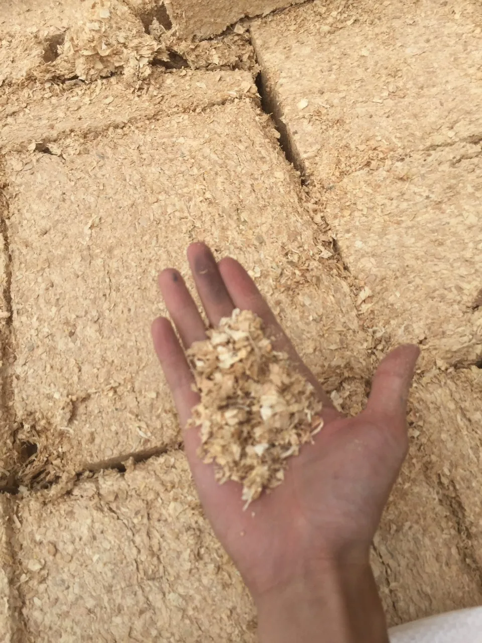 Сосновые бритвы для лошадей постельные принадлежности из Вьетнама высокое качество