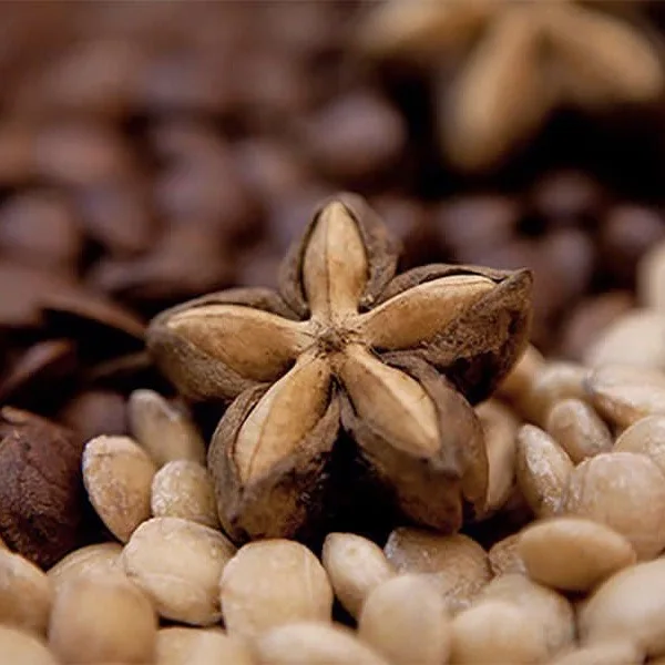 100% Organic Sacha inchi Seeds/ oil wiht high quality
