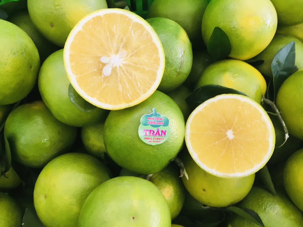 Свежие апельсиновые фрукты для продажи бесплатно из Вьетнама Высокое качество Лучшая цена-апельсины Valencia оптом