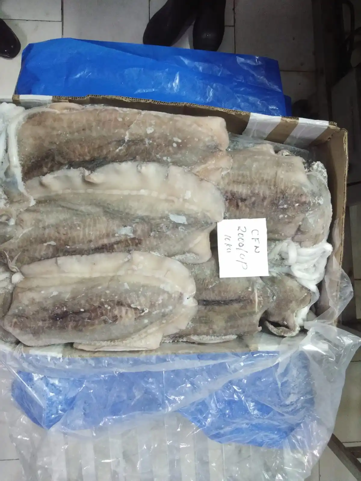 Block frozen cuttlefish whole from India