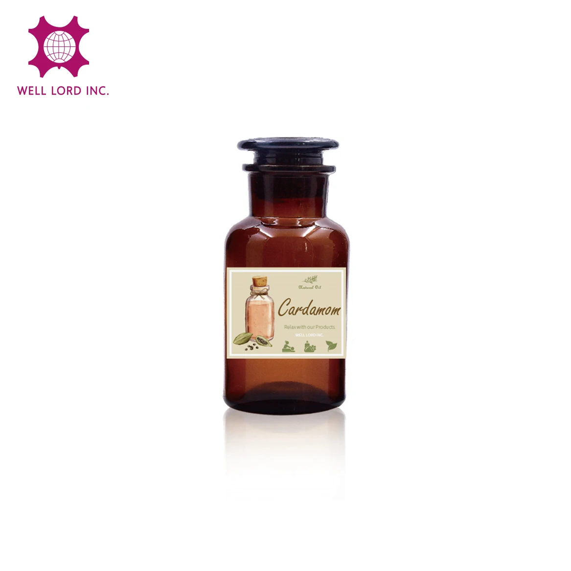 Домашняя Жилая пустая стеклянная бутылка диффузора 250 мл с черной пробкой геркон диффузор бутылка