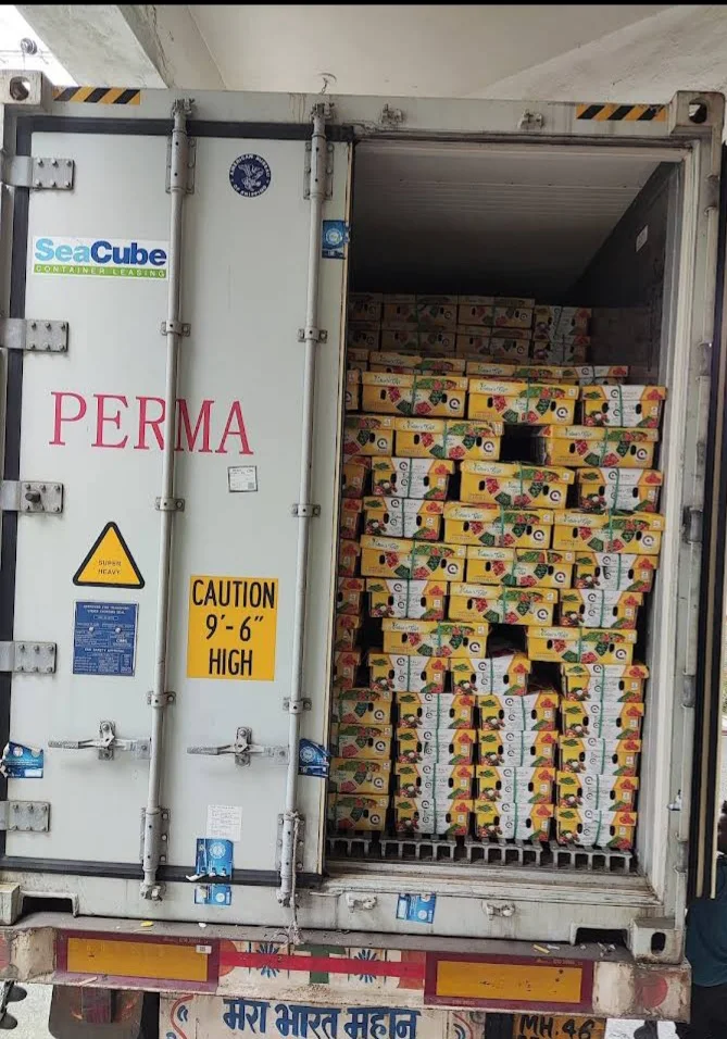 Best Quality Indian G4 Green Chilli