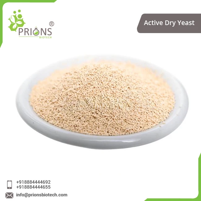 Highest Selling Animal Nutrition Applicable Dry Yeast at Minimal Price