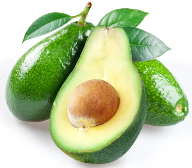 Fresh Grown Avocado - Tropical & Sub-Tropical Healthy Fruit From Turkey