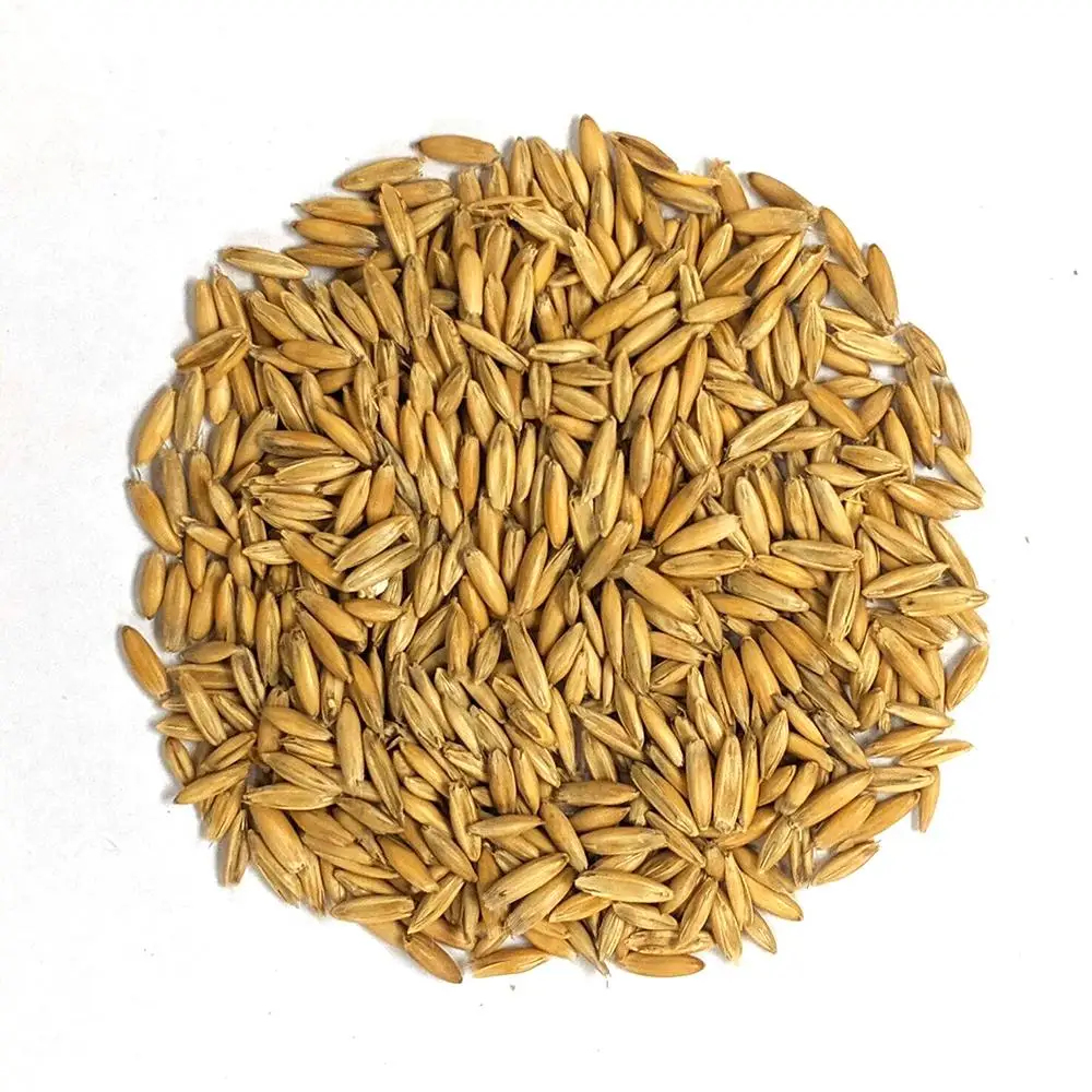 Great quality oats online perfect price