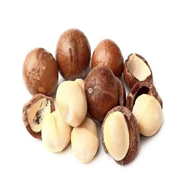 
cheap and competitive price Macadamia Nuts In shell, Kernels/Organic Macadamia Origin Brazil 