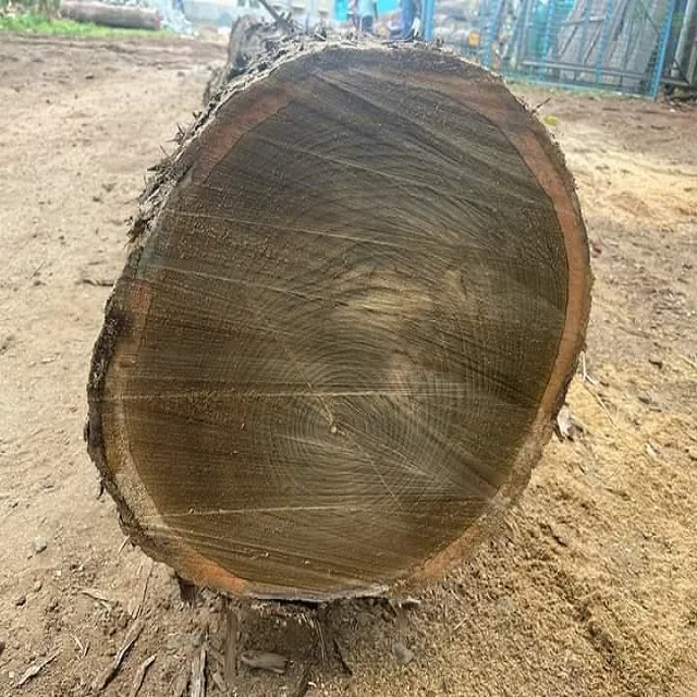 Древесина Limbali (Gilbertiodendron dewevray) квадратные и круглые бревна