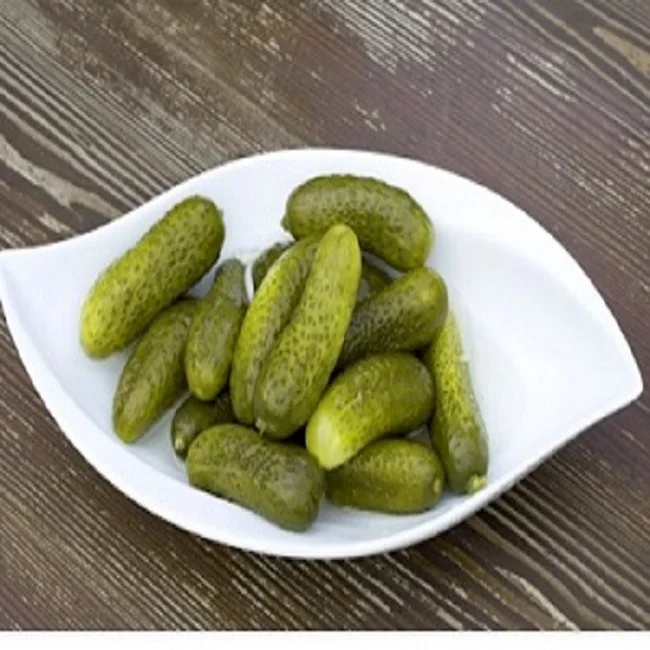 100% Natural  Cucumber/Gherkins/Cornichons/ Preserved in Acetic Acid in Barrels/Bucket/Pails -FSSC22000 V5 standards