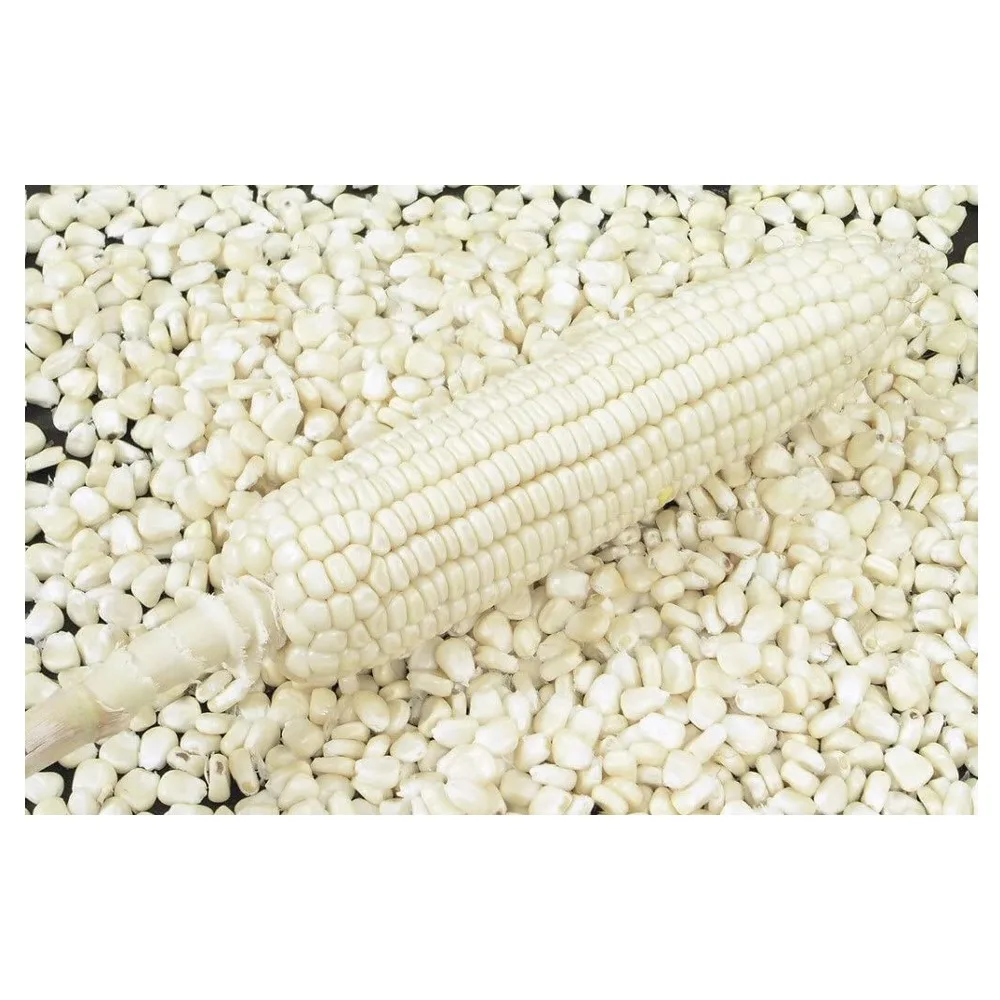 
Top Grade White Corn Maize For Animal Feed avaialbe 