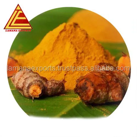 Pure Turmeric Powder for Export Vietnam Malaysia Singapore