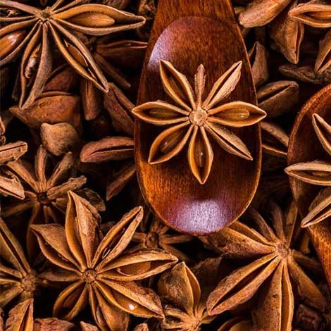 India 100% Natural Dehydrated Star Aniseed