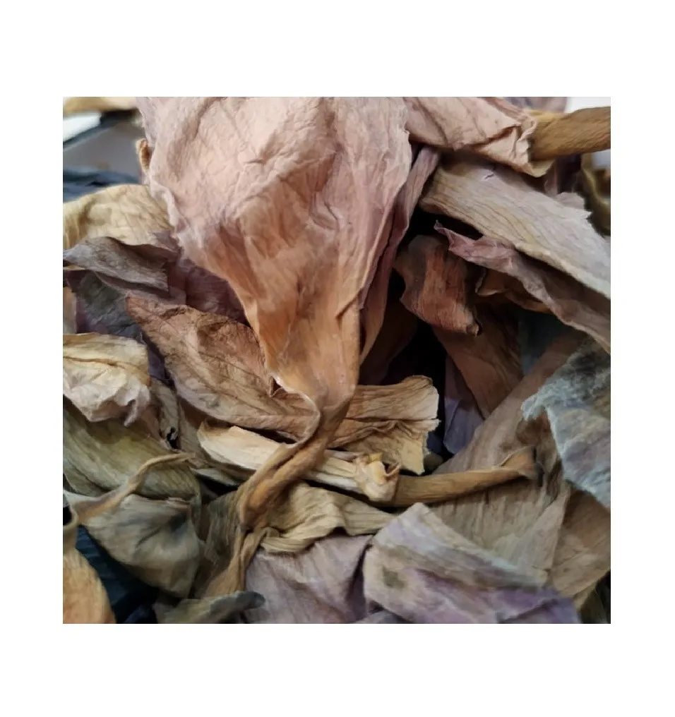 VIETNAM DRIED LOTUS FLOWER for TEA HERB