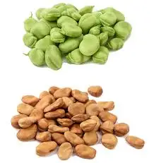 Wholesale High-quality nutrient-rich Dried fava beans / GK38 100% Natural Newest Crop Fava bean made in Viet Nam