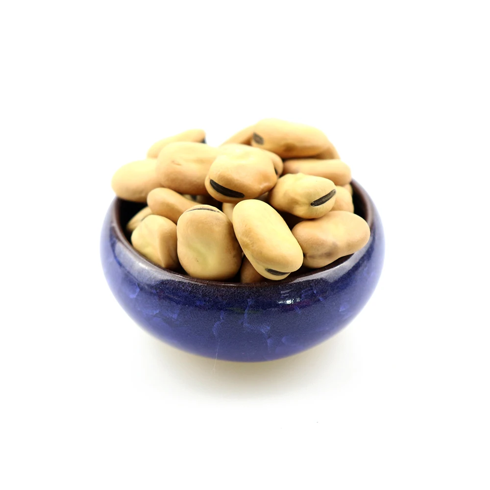Quality Broad Beans/ Fava Beans for sale at low prices