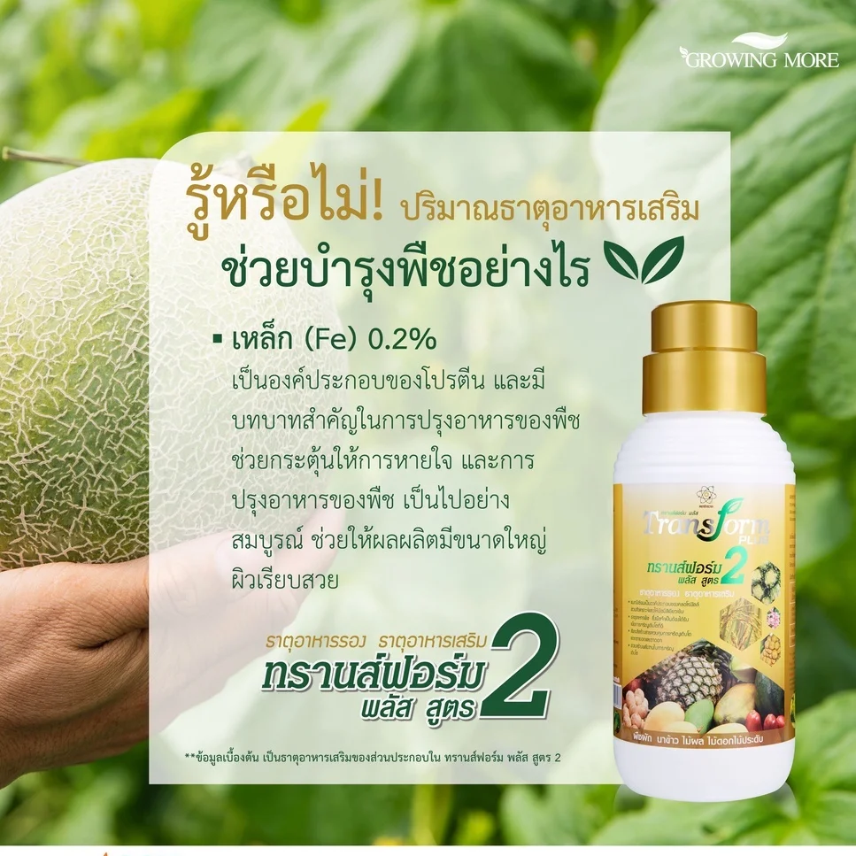 Bio Organic TRANSFORM PLUS 2 Liquid Fertilizer Plant Uupplement Health Formula Advanced Micro Nutrients for Plants from Thailand