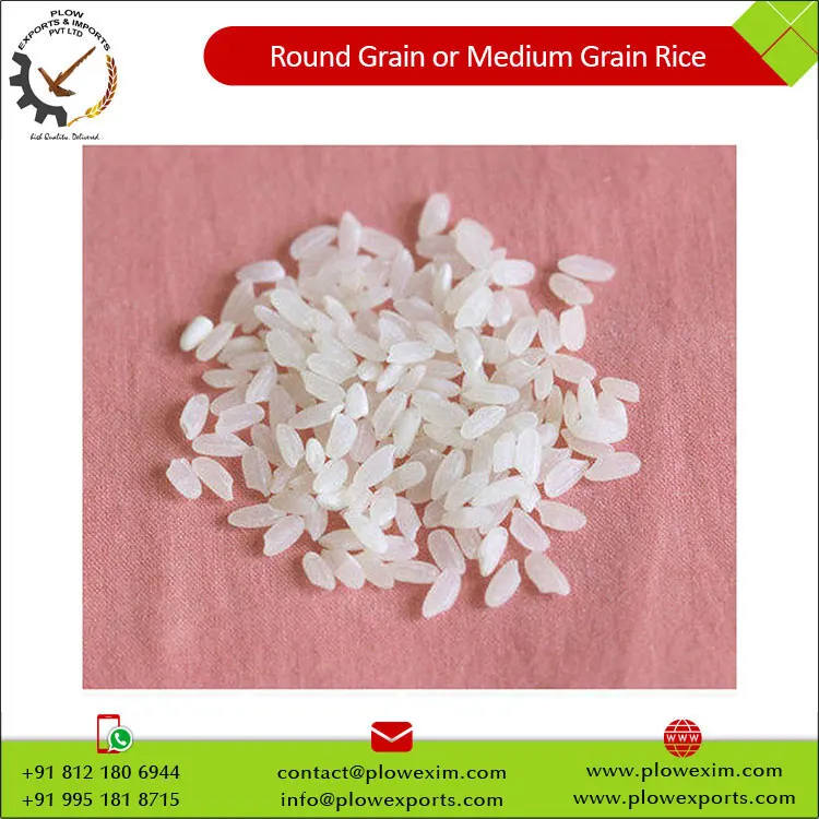 Round Grain or Medium Grain Raw Rice 5% Broken Round Rice Bulk Supply