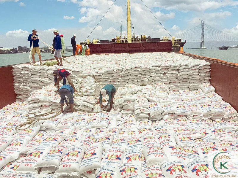  [Премиум рис] Лучший Вьетнамский ЧИСТАЯ зернистость st25 рисовый хорошо Фрезер без холестерина