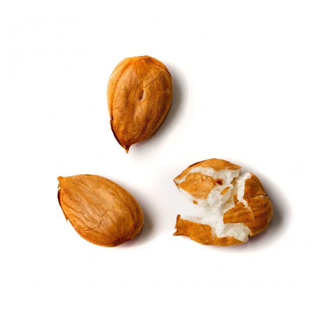 Organic Apricot Kernels With Export Quality Packing