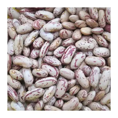 Легкая зернистая фасоль