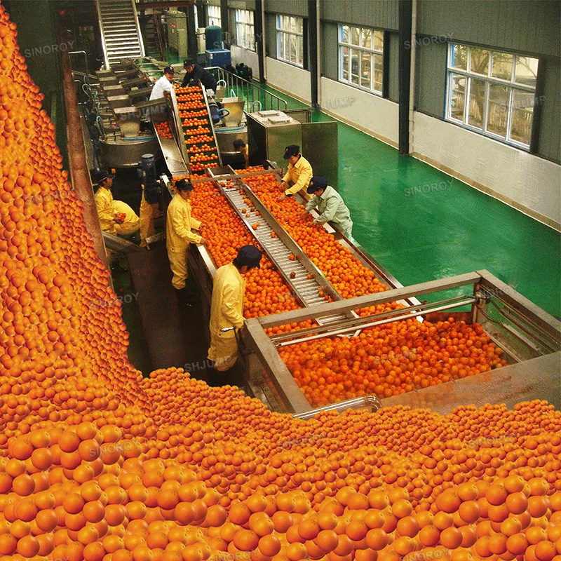 1000Tons Diversity fruit production lines machines for apricot paste, citrus grape NFC juice, avocado puree jam sauce ketchup