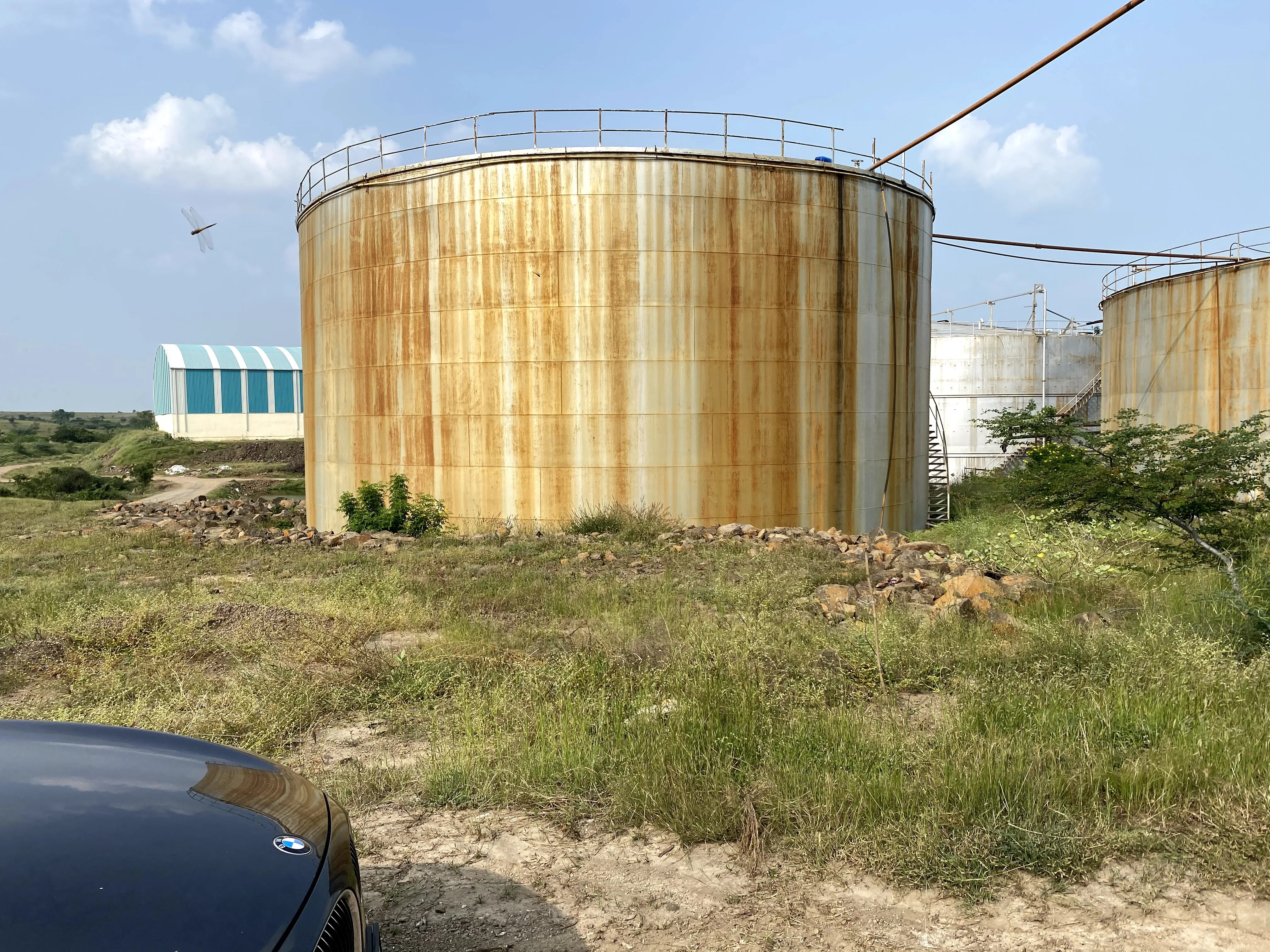 
Sugar cane molasses made from sugarcane are used in baking and candy-making and to make rum animal feed, vinegar, citric acid 