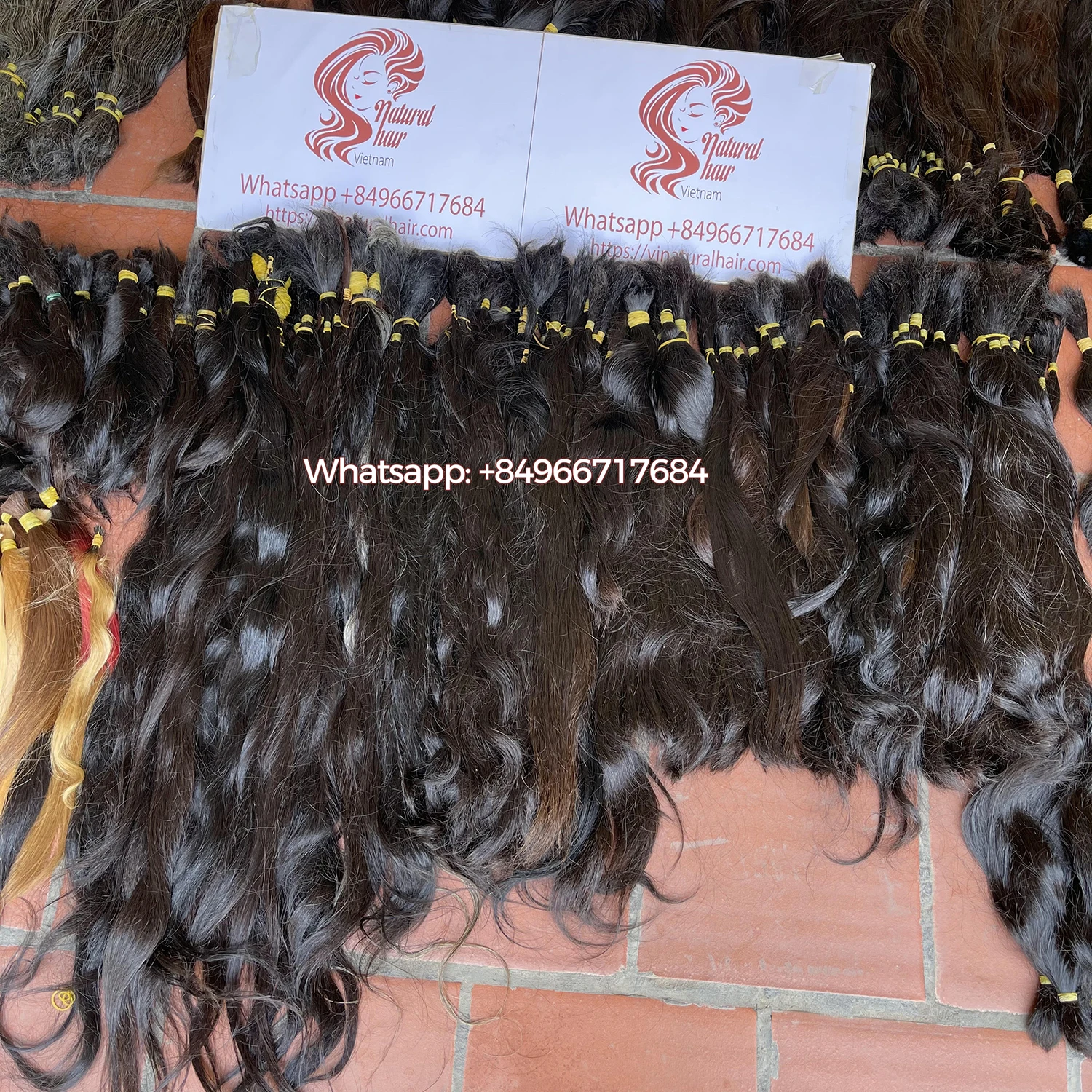 Лучшее качество волосы одного донора навалочные вьетнамские волосы/наращивание человеческих волос/выровненные с кутикулой