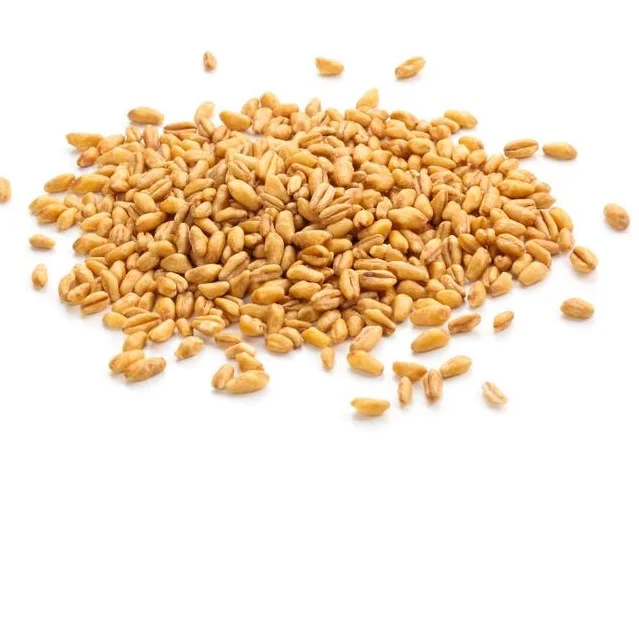 Экспортер и производитель зерна органической пшеницы по доступной цене