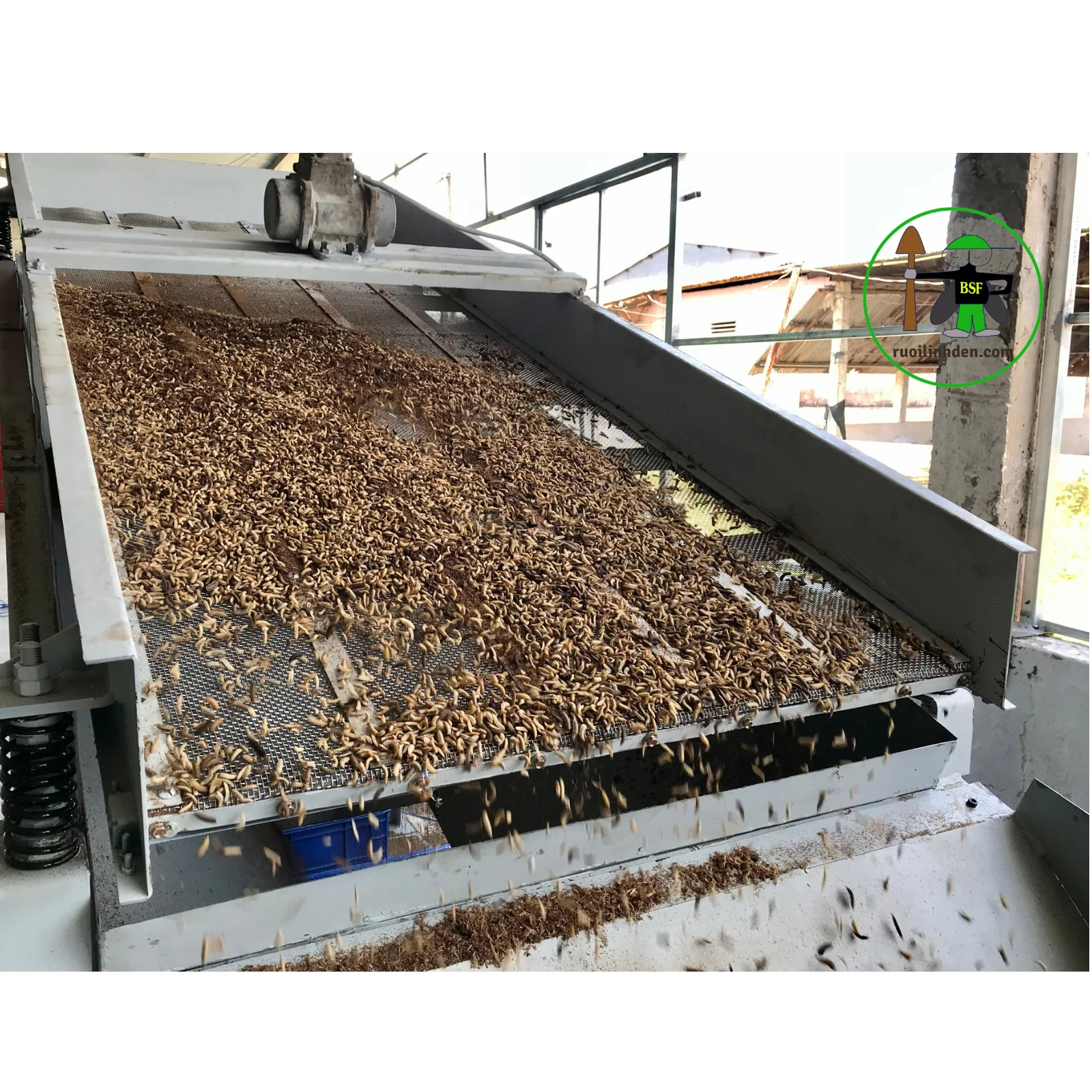 BBQ Natural Flavor Vietnam Home Pet Products Food Dried black soldier fly With 1kg Bag Packaging for animals