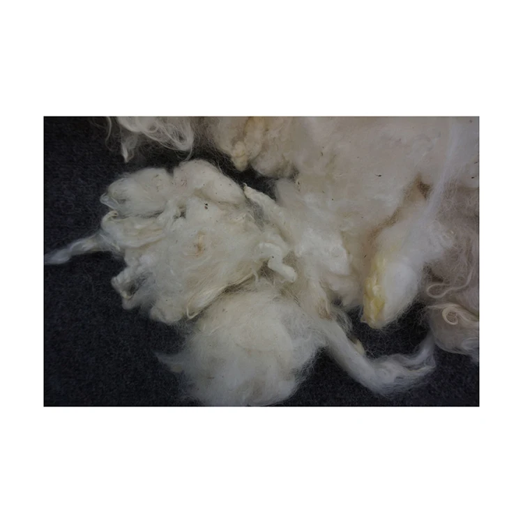 Quality scoured sheep wool in bulk, sheep wool