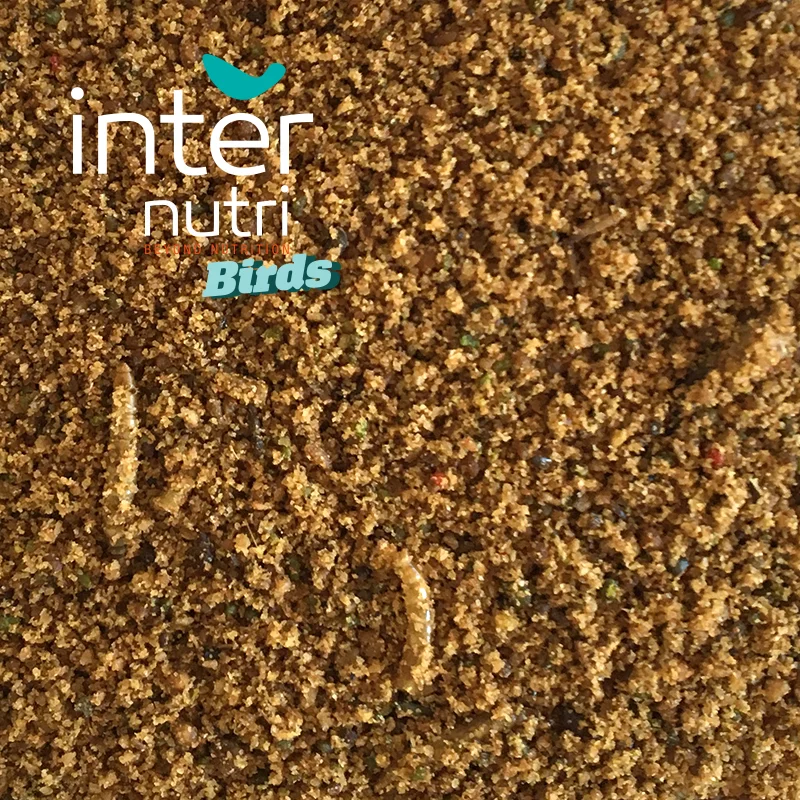 
Complementary food for birds | INTERNUTRI UNIVERSAL PATE 10KG 