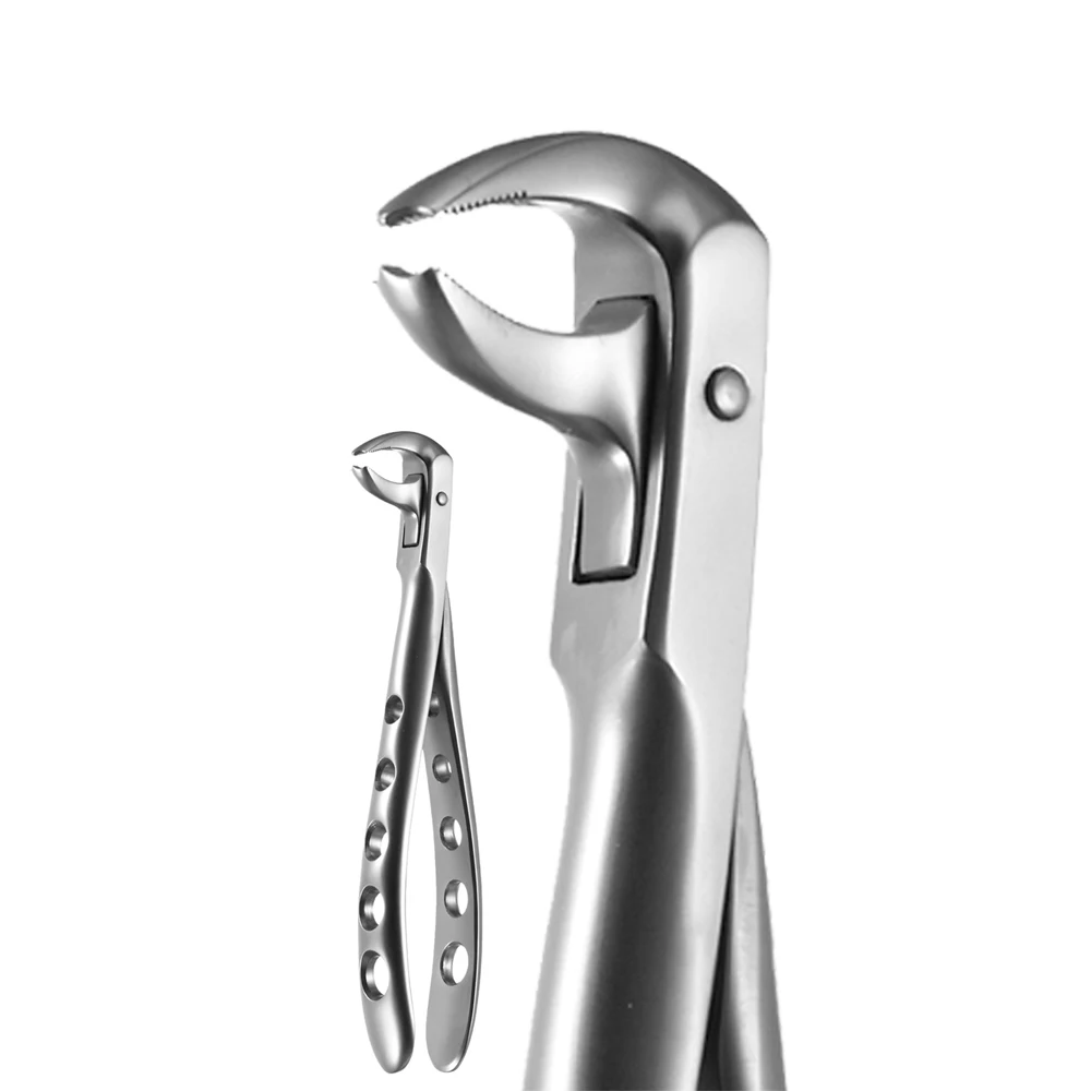 Veterinary Teeth Forceps High Quality Tooth Rasps Tooth Rasp For Animals Applicator Tooth Cutter Extracting Forceps Dental