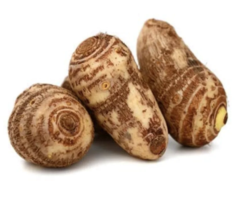 
Fresh Taro Quality Taro,Coco yams,cocoyams 