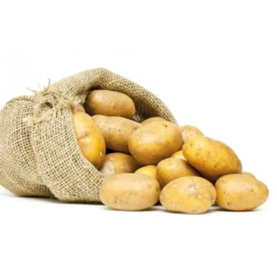 USA Fresh Potato Price