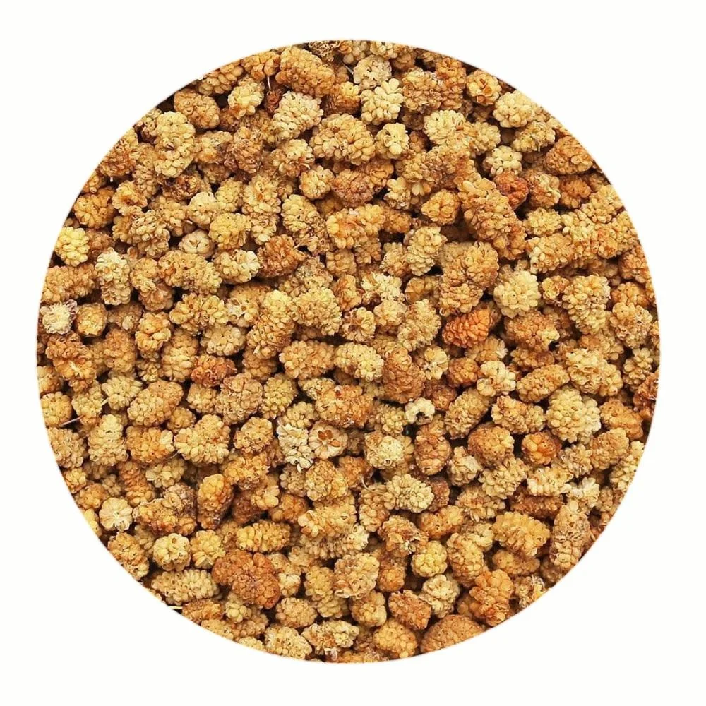 Dried White Mulberry Fruit, Organic Certified!