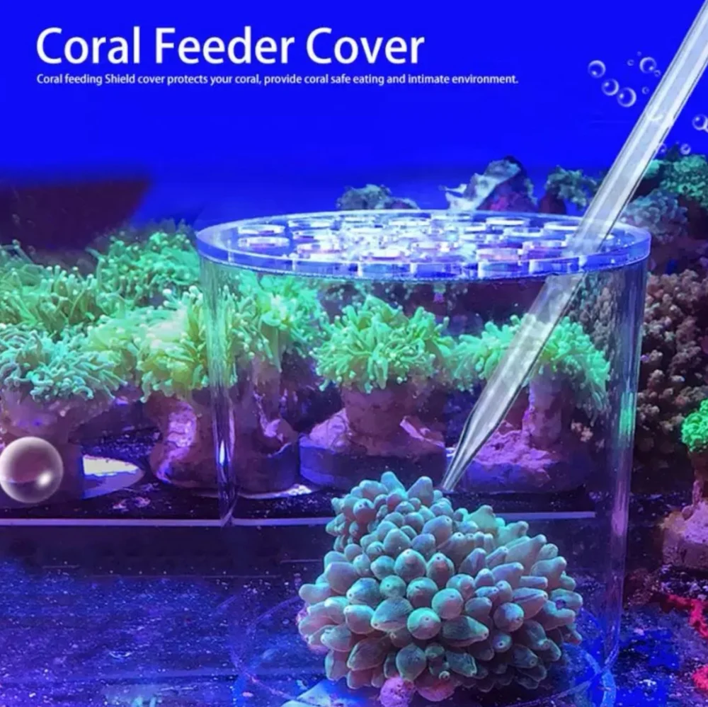 Acrylic Coral Feeder Cover Transparent Coral Feeder Cover Anti-Feeding Shrimp for Aquarium Fish Tank