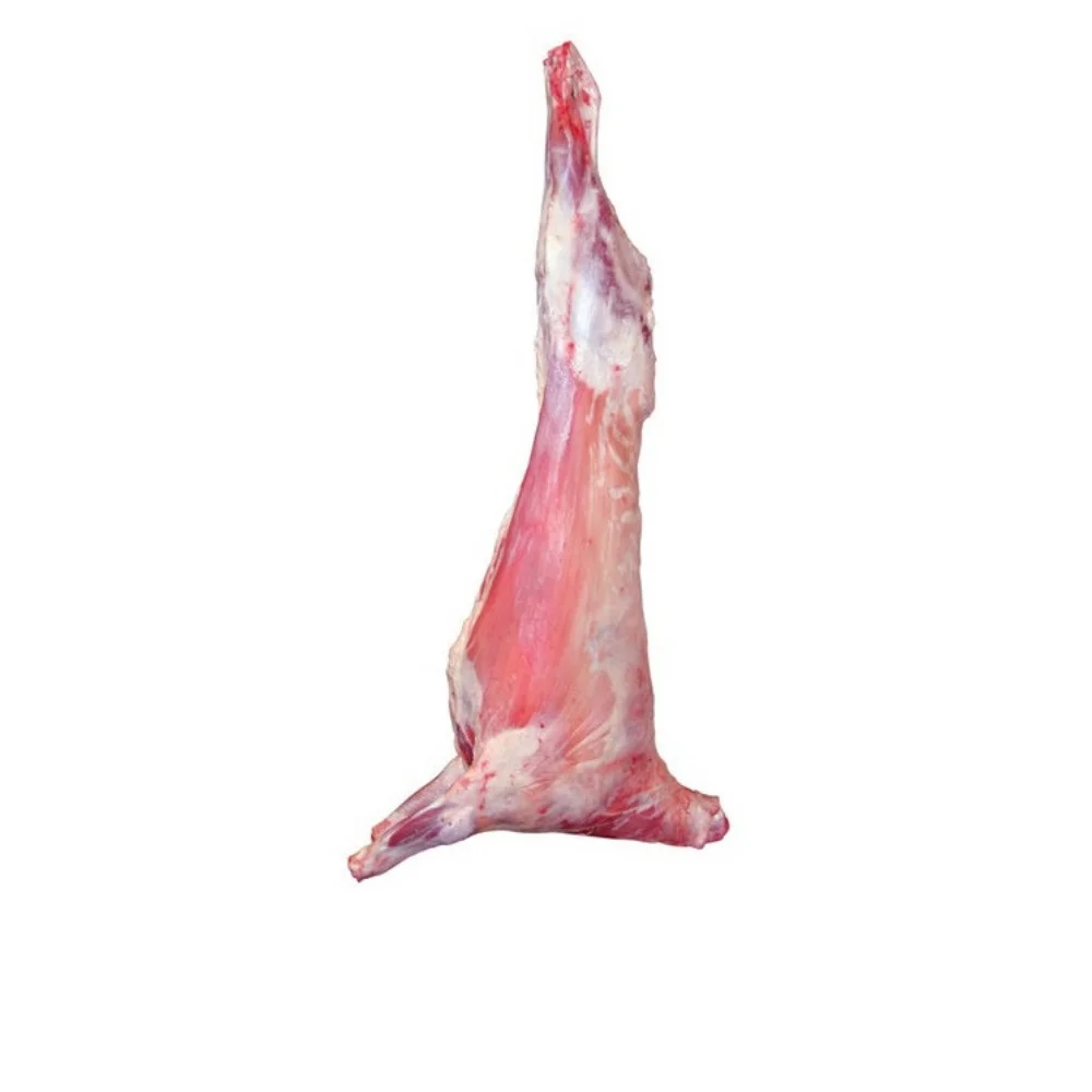 Ягненок мясо hahal баранины из Казахстана