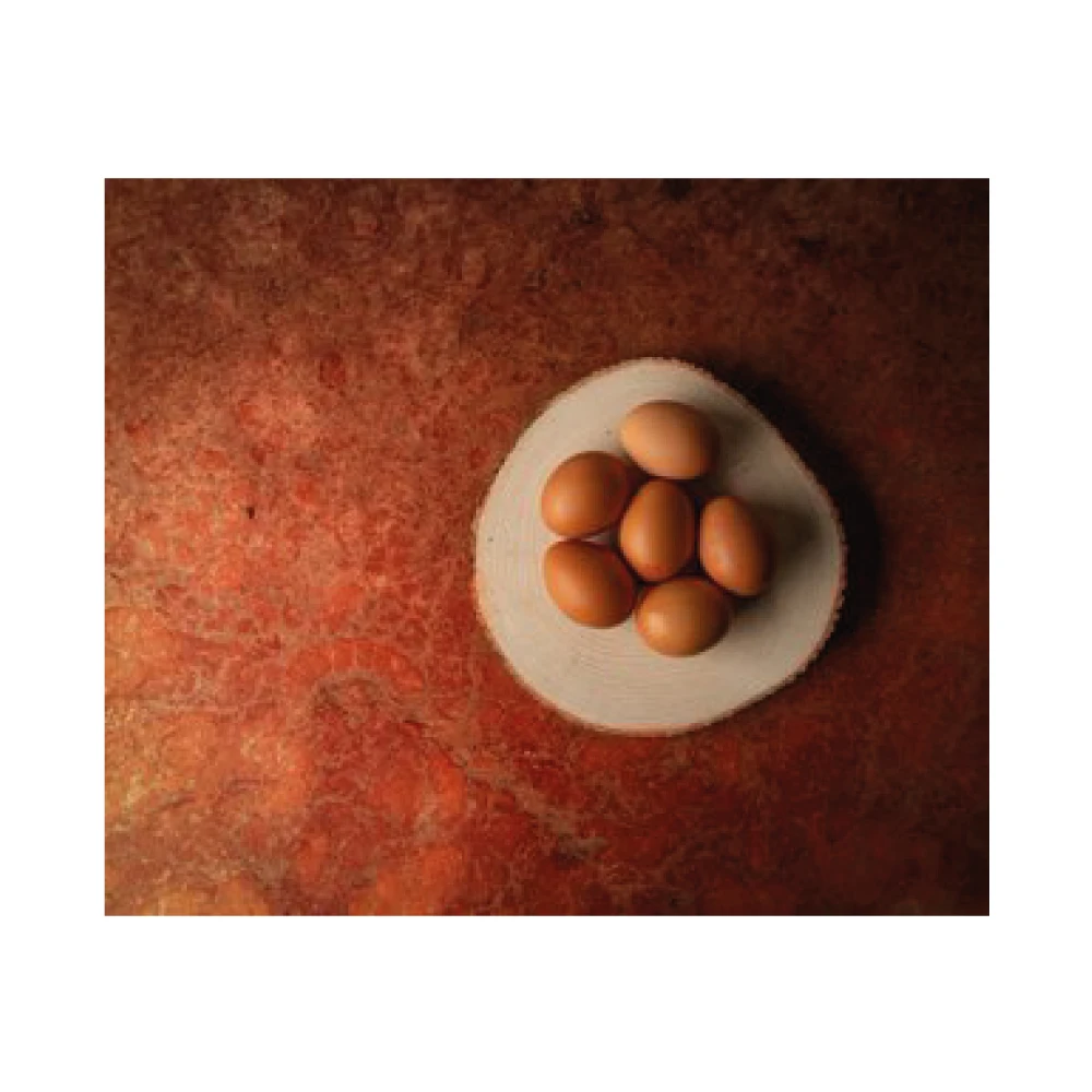 High Quality Organic Certified Free Range Chicken Eggs Wholesale Product - Medium Size 53-62 Grams