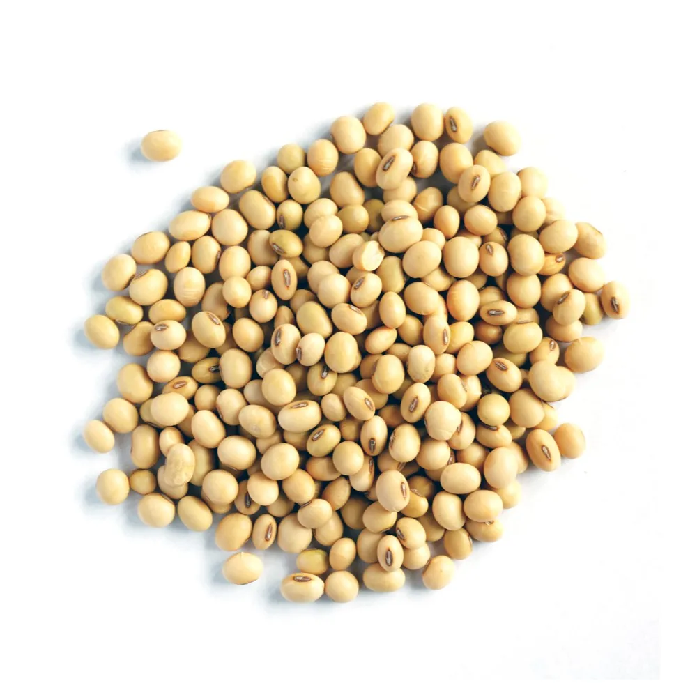 Soybean Wholesale Roasted Salty Soybean Non- Gmo Yellow Soybean