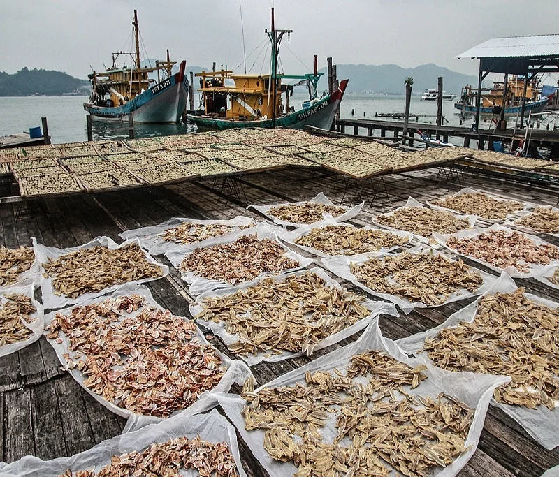 2021 Бангладеш сушеные органические и здоровые рыбы по оптовой цене